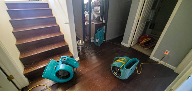 Best Flooded house restoration  in Pearl River, NY