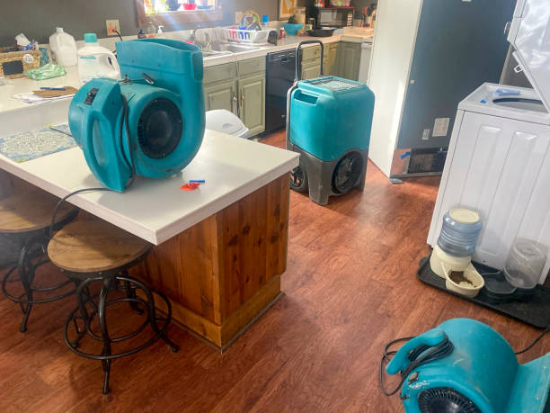 Professional Water damage restoration in Pearl River, NY