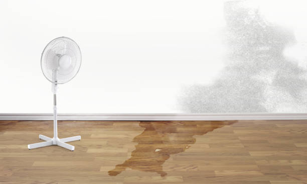 Best Water damage restoration near me  in Pearl River, NY