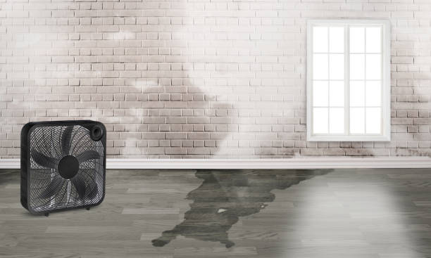 Best Water damage repair service  in Pearl River, NY