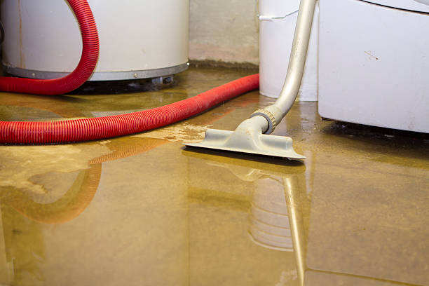 Water damage restoration mold remediation in Pearl River, NY