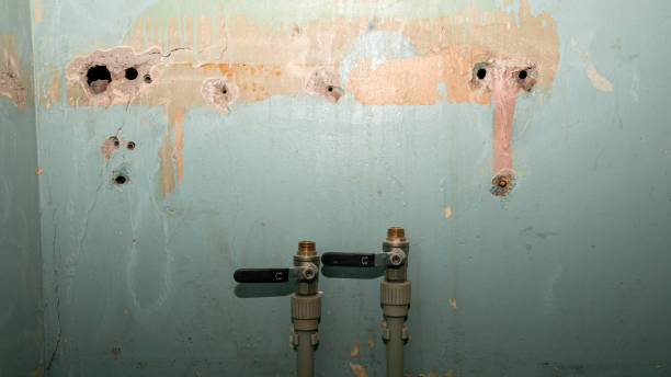 Best Basement water damage restoration  in Pearl River, NY